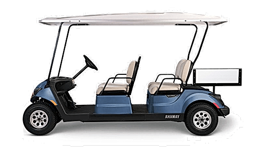 Multi-Person Golf Cart