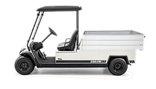 Electric Golf Car